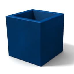 Vista 5
