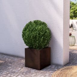 Vista 4
