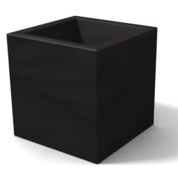 Vista 5