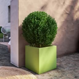 Vista 1