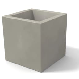 Vista 5