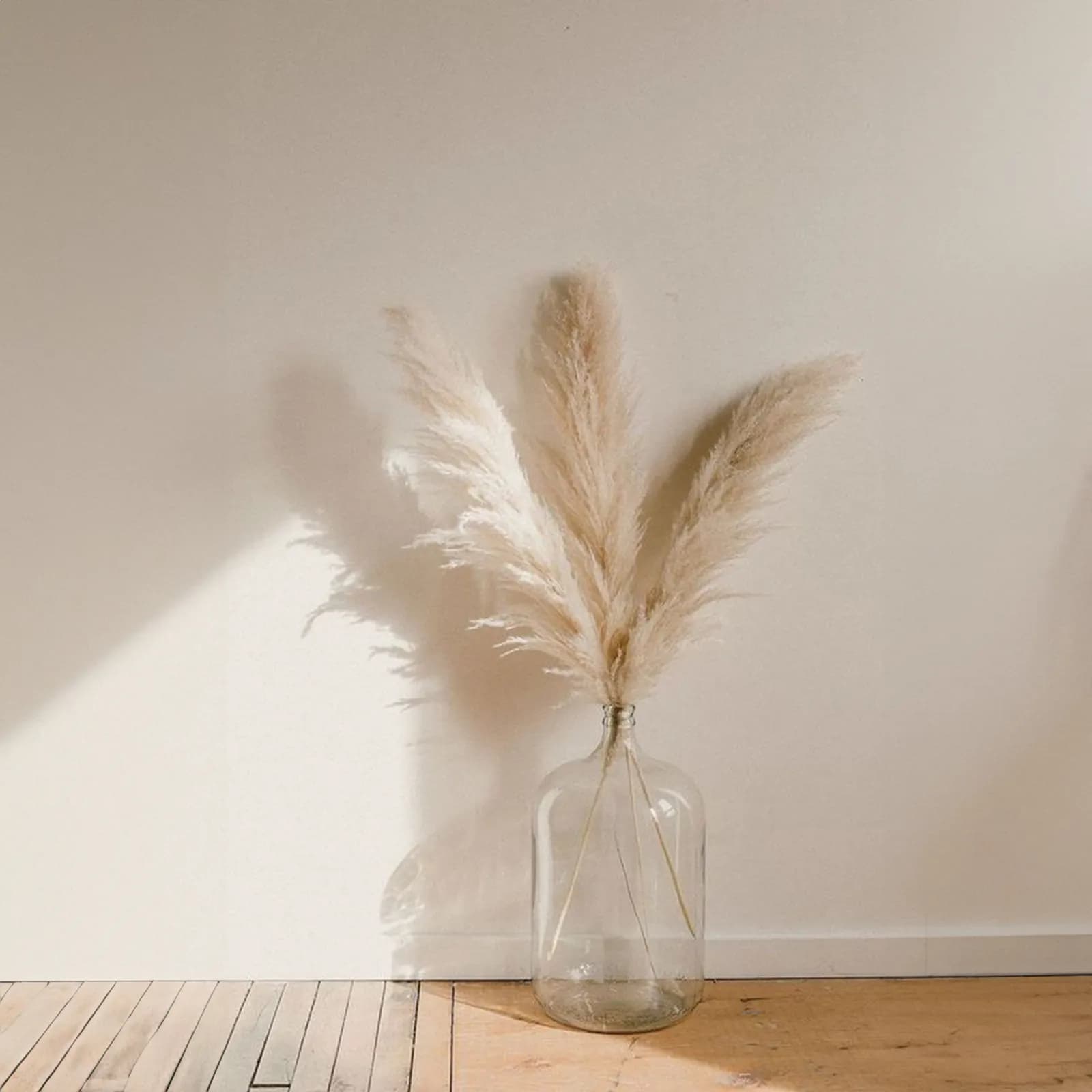 Set 6 rami decorativi di pampa 67h cm naturale