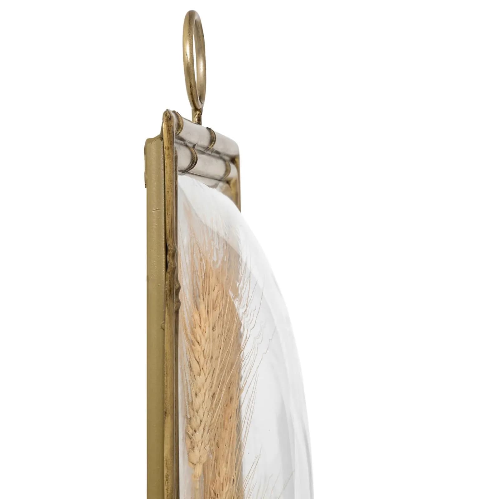 Decorazione da parete 46h cm in legno e vetro curvo con spighe essiccate