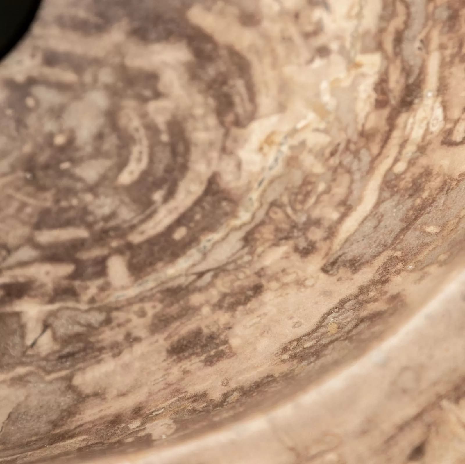 Lavabo da appoggio in legno pietrificato - Artizan