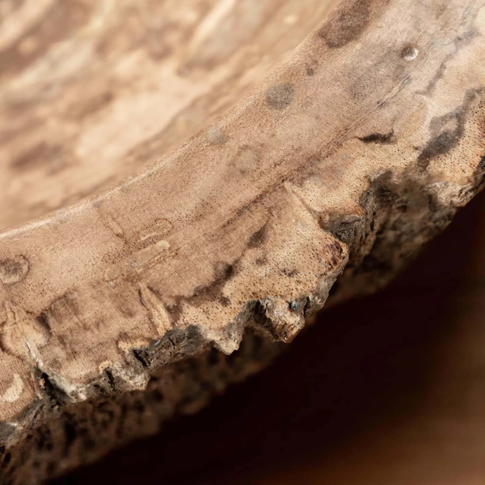 Lavabo da appoggio in legno pietrificato - Artizan