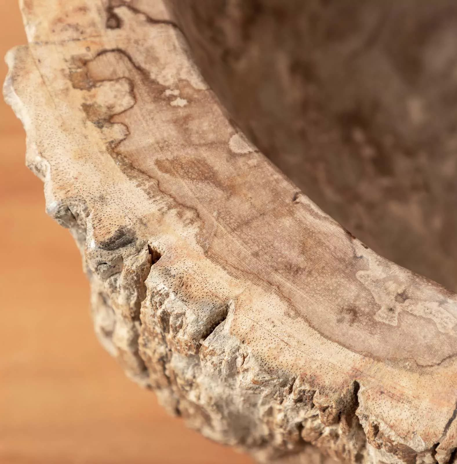 Lavabo da appoggio in legno pietrificato - Artizan