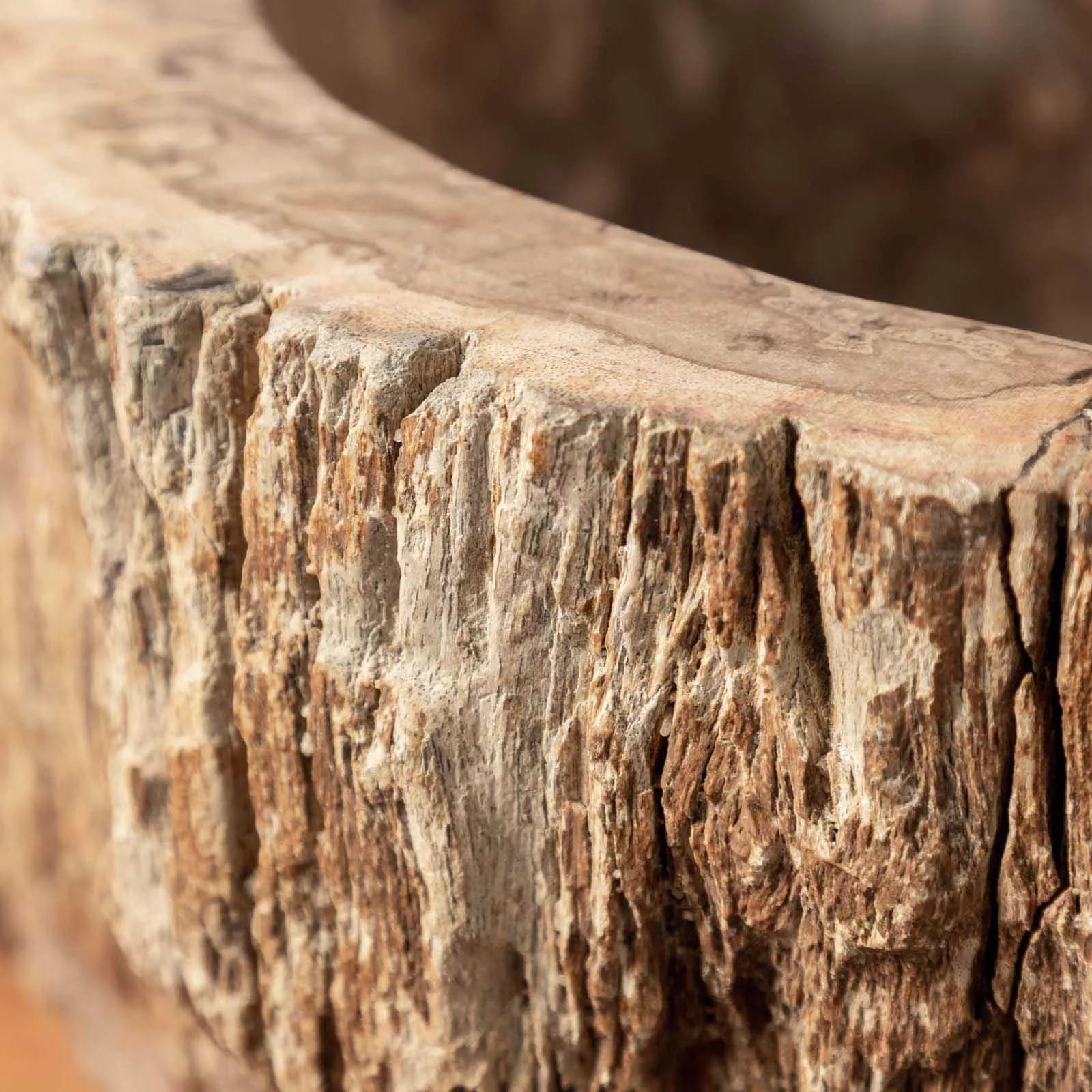 Lavabo da appoggio in legno pietrificato - Artizan