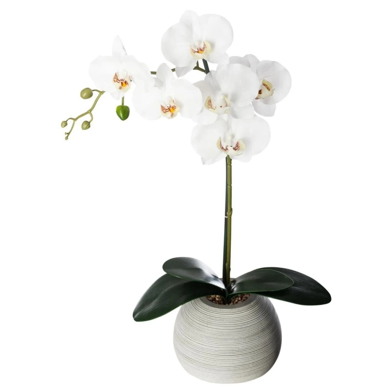 Orchidea artificiale 50h cm in vaso di cemento
