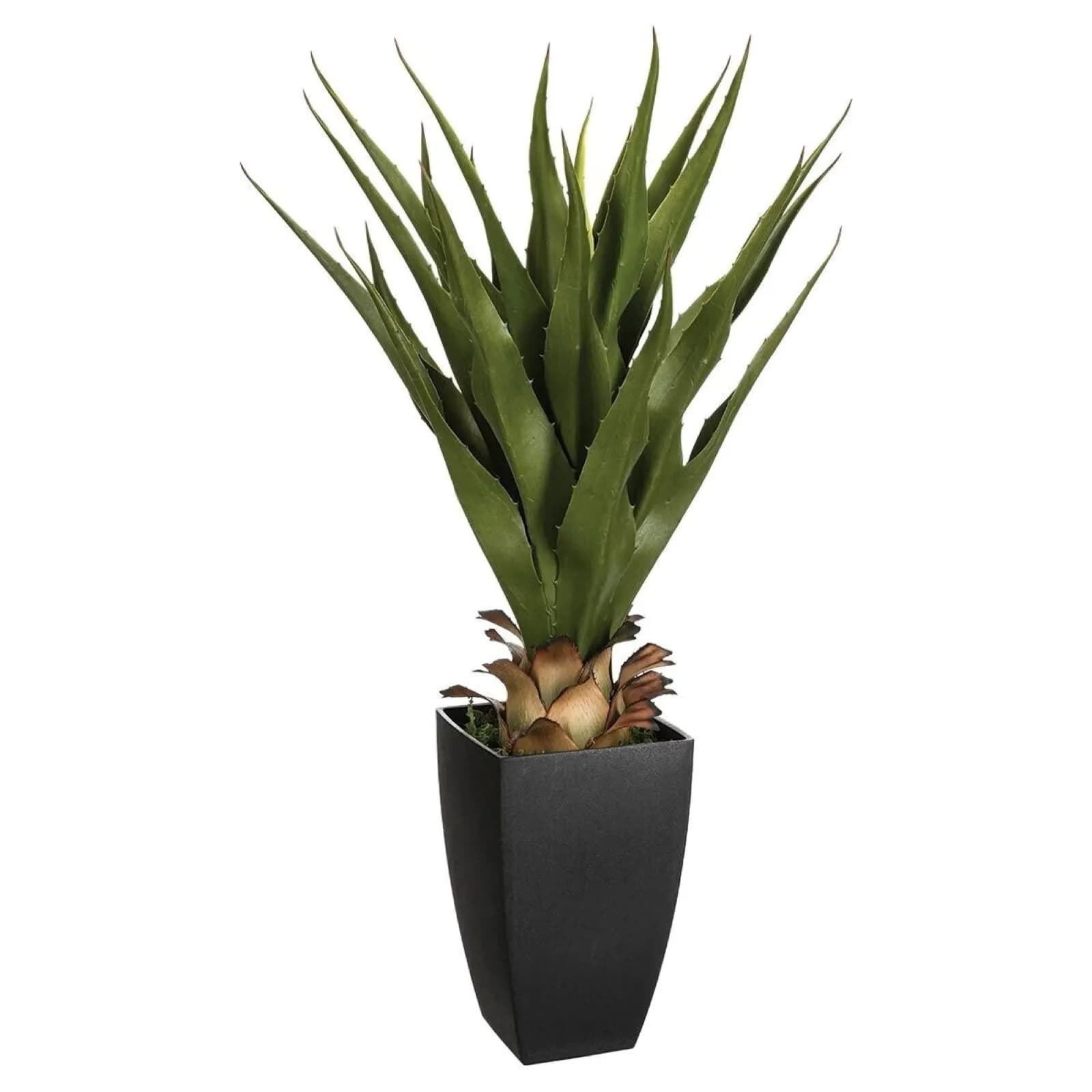 Pianta artificiale di agave 71h cm in vaso nero