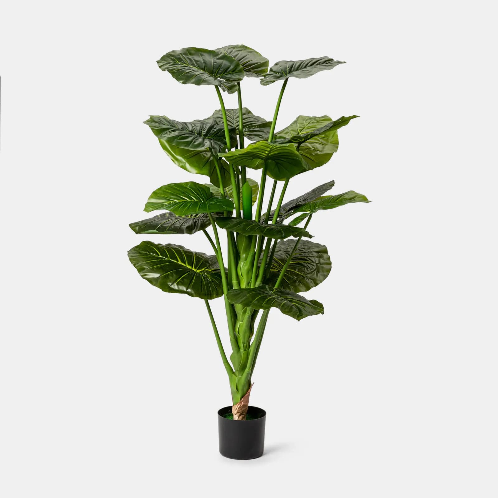 Pianta artificiale di alocasia macrorrhiza 130h cm con vaso