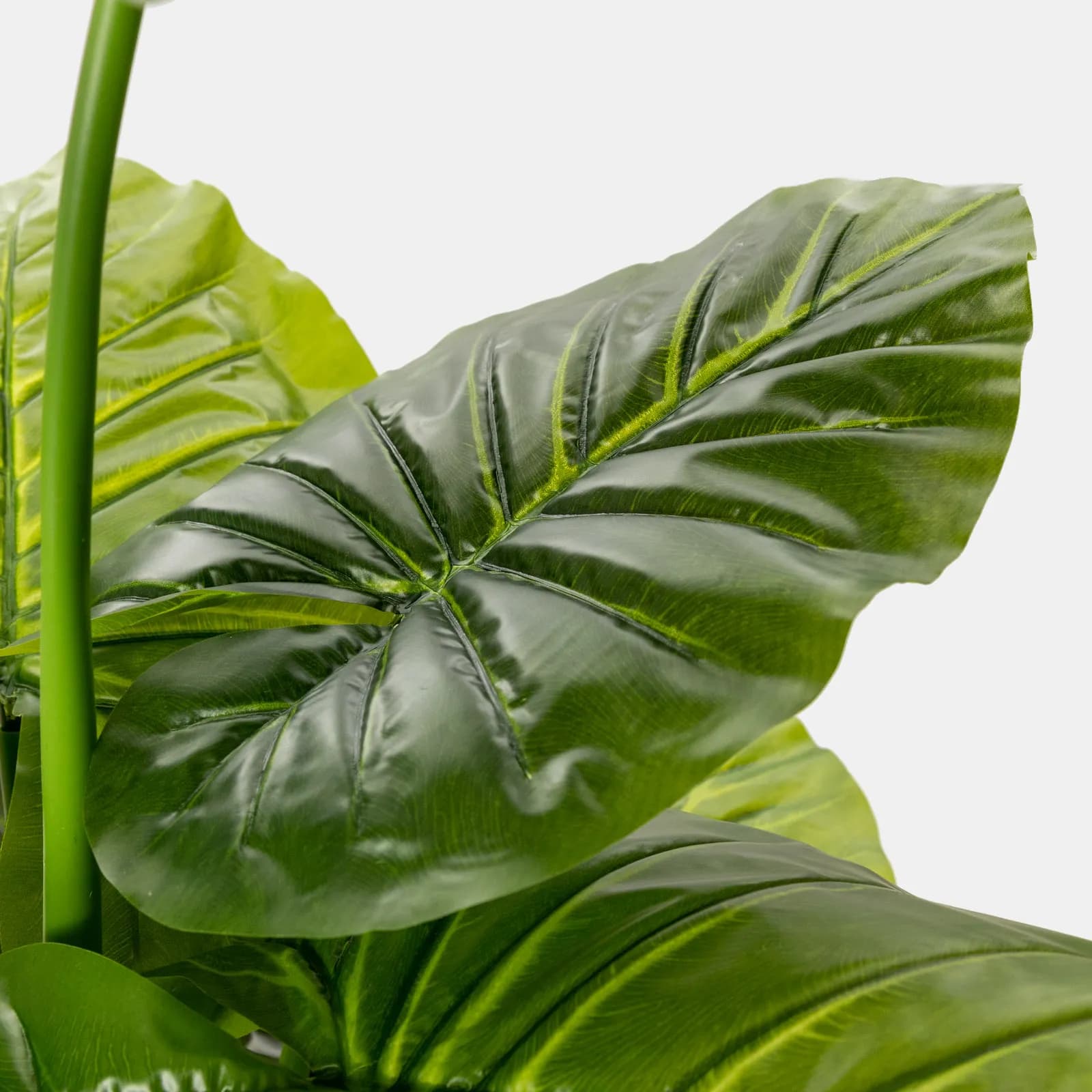 Pianta artificiale di alocasia macrorrhiza 130h cm con vaso