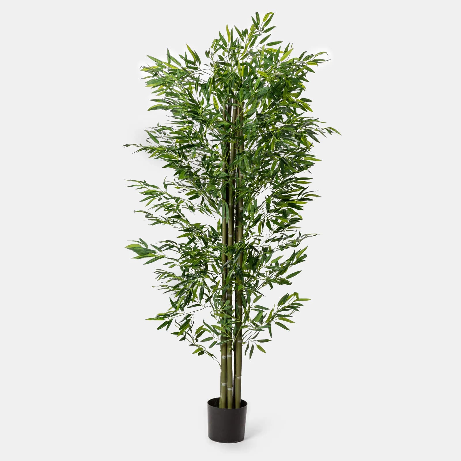 Pianta artificiale di bambù 180h cm con vaso