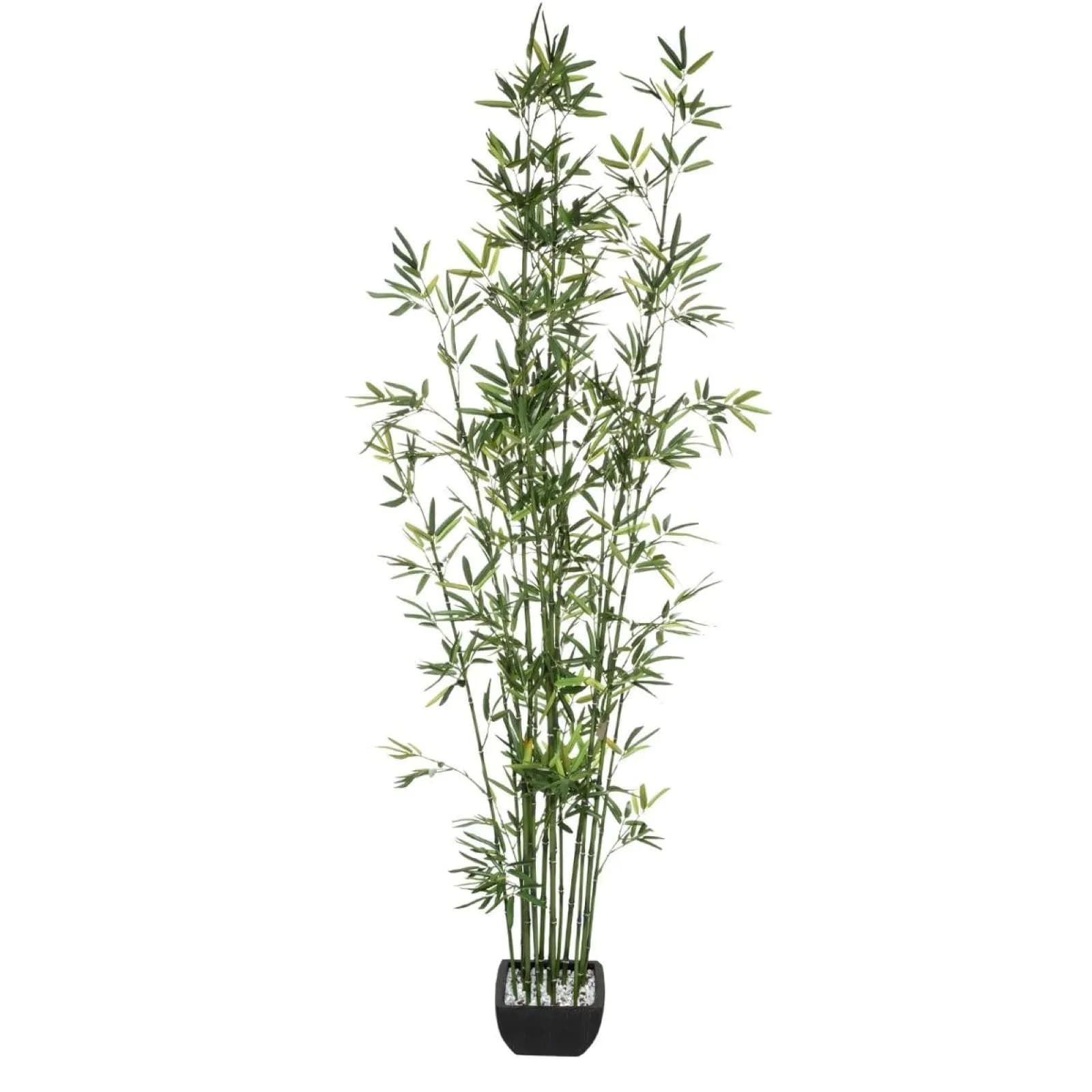 Pianta artificiale di bambù 180h cm in vaso nero con pietre