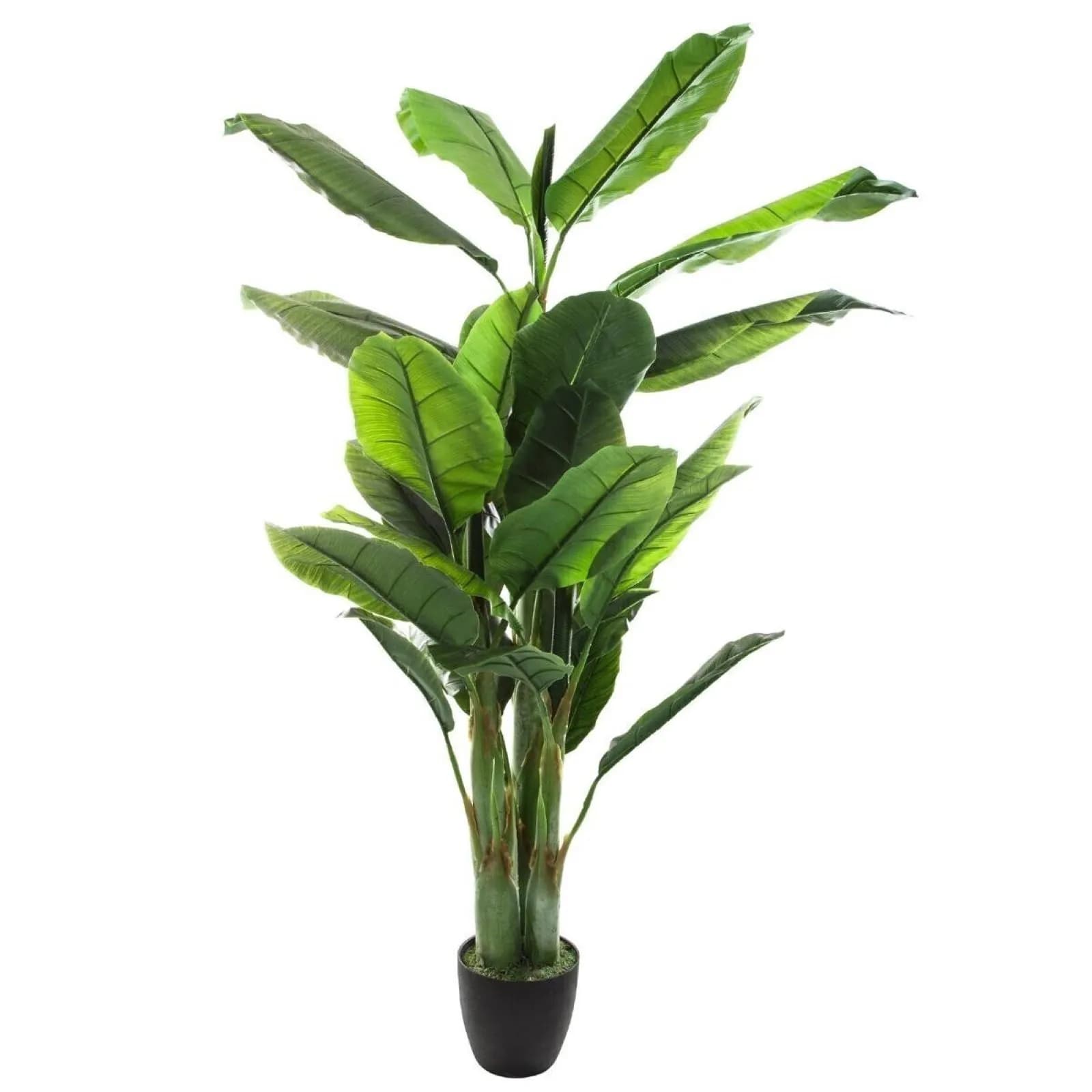 Pianta artificiale di banano h 160 cm con vaso