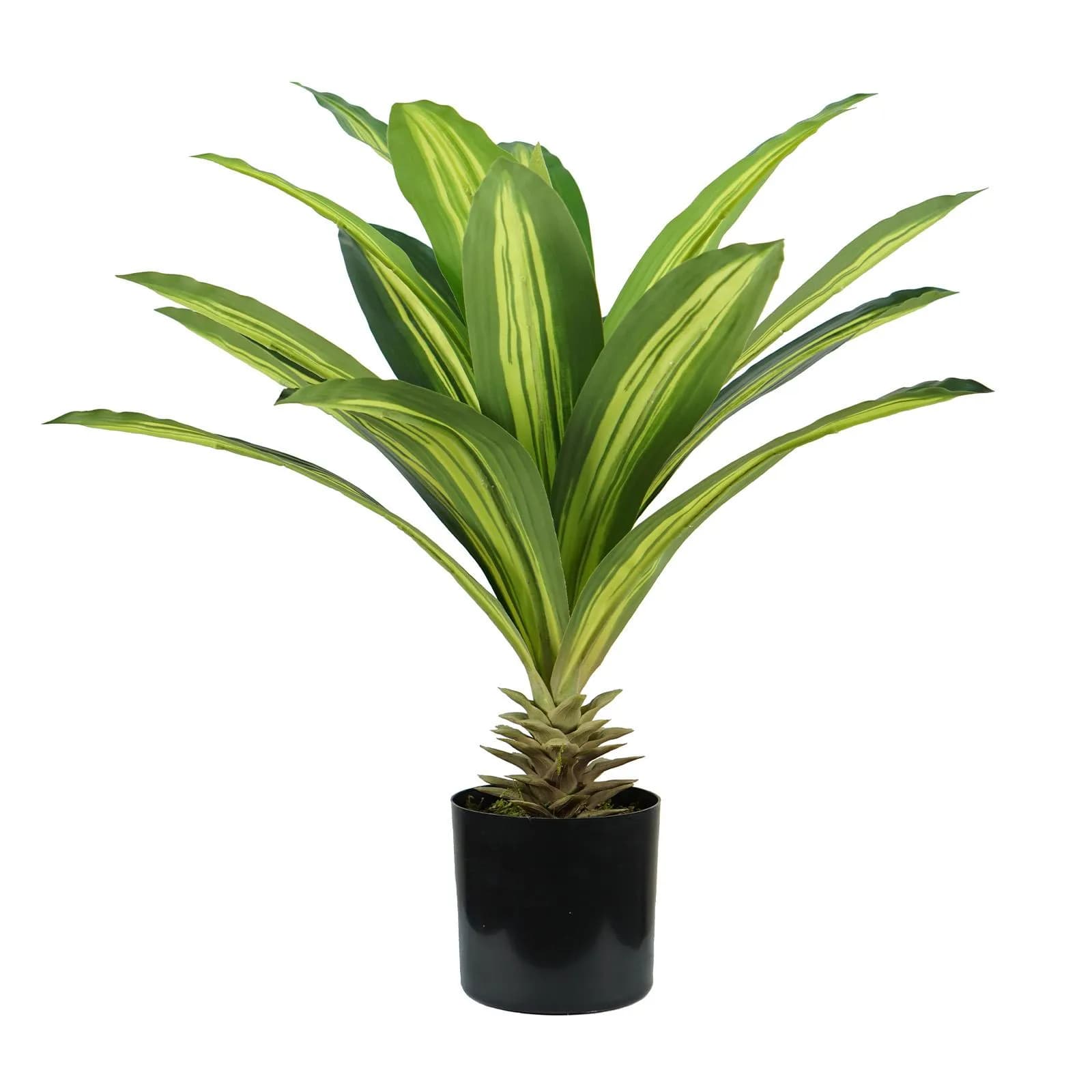 Pianta artificiale di dracaena 60 cm con 19 foglie in vaso