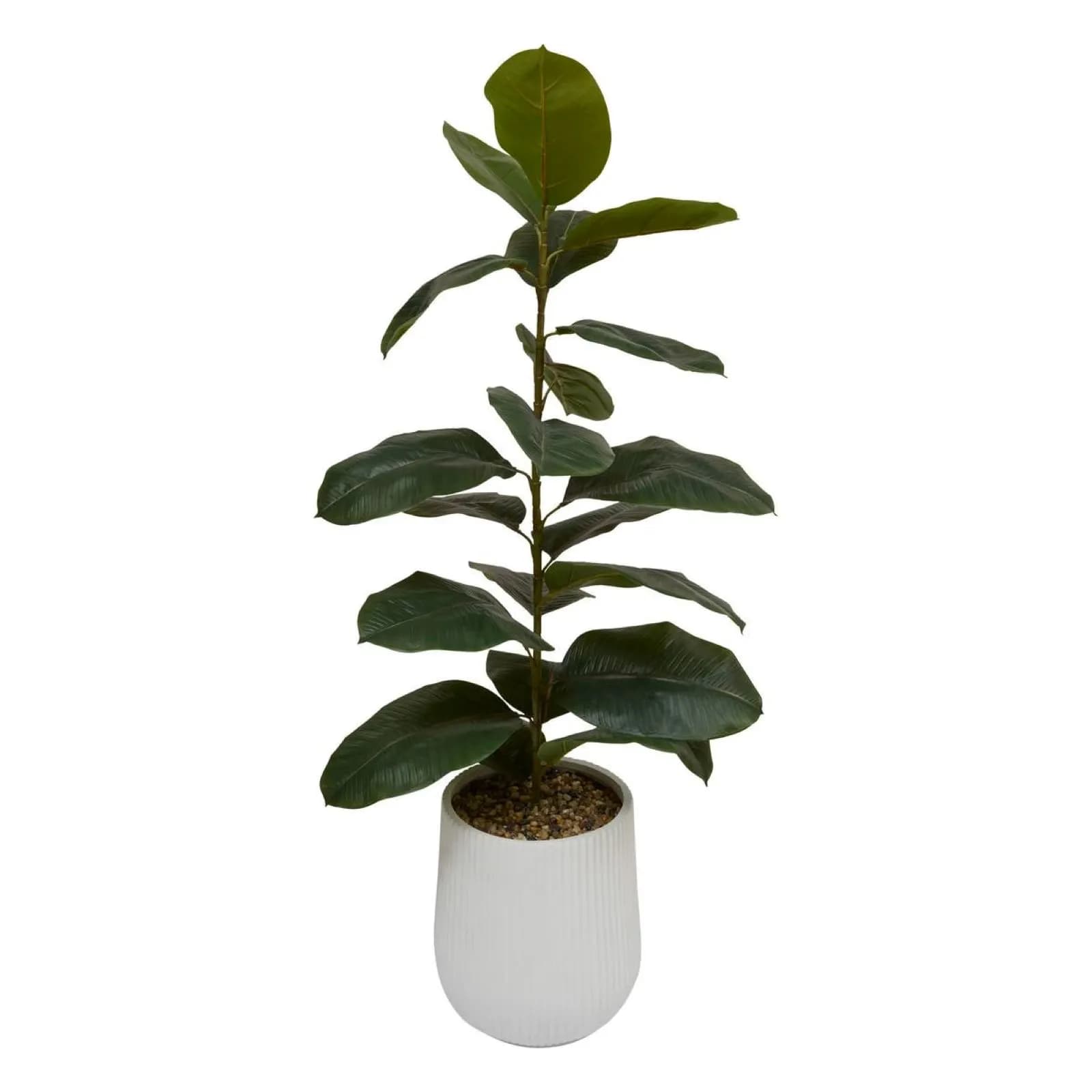 Pianta artificiale di ficus 145h cm vaso in ossido di magnesio bianco