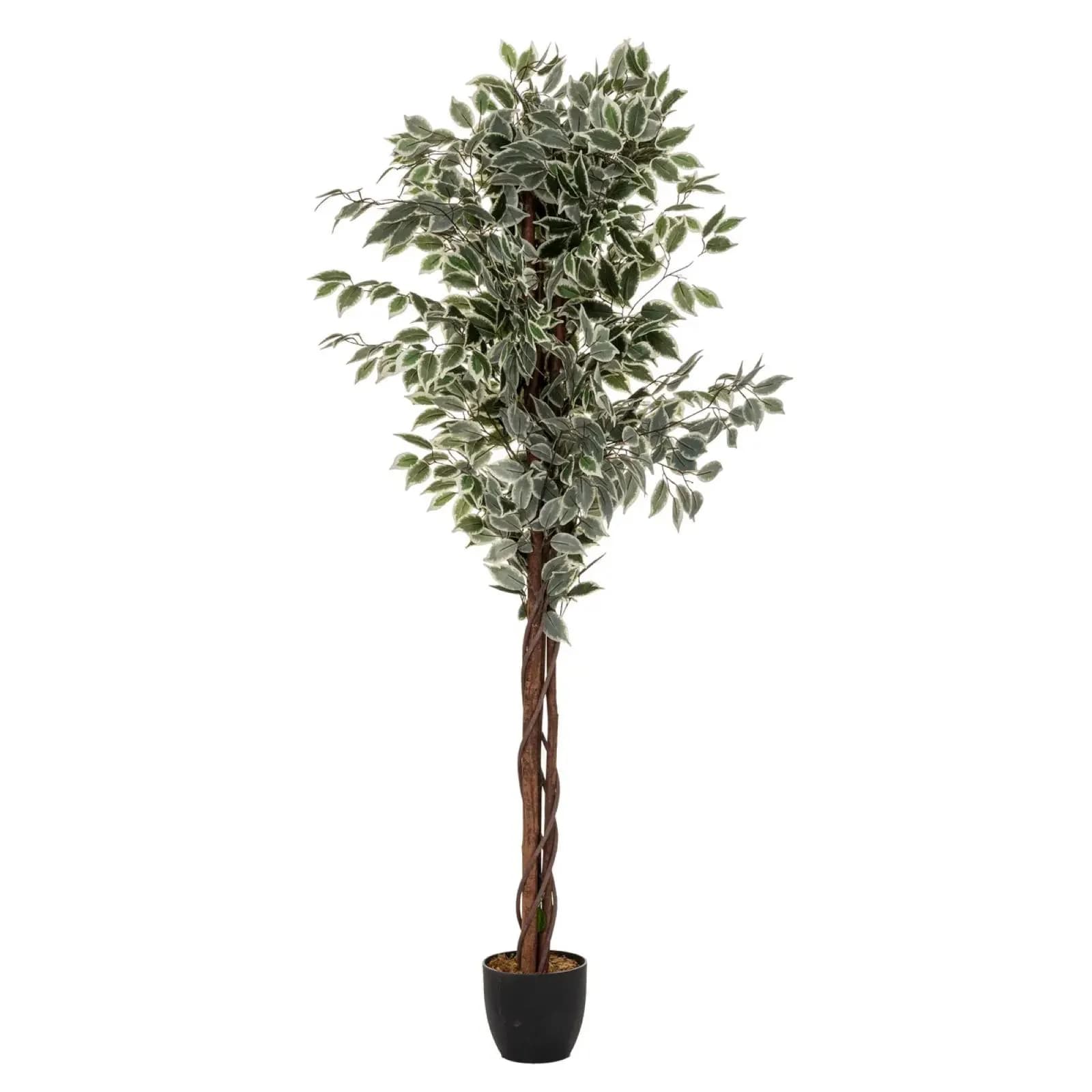Pianta artificiale di ficus 180h cm con vaso nero