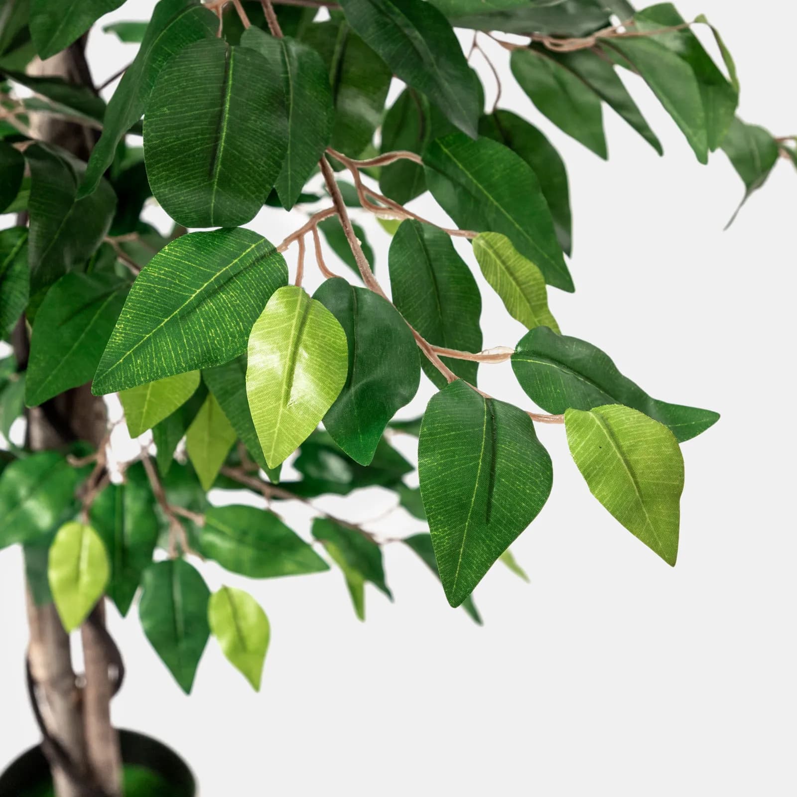 Pianta artificiale di ficus benjamin 160h cm con vaso