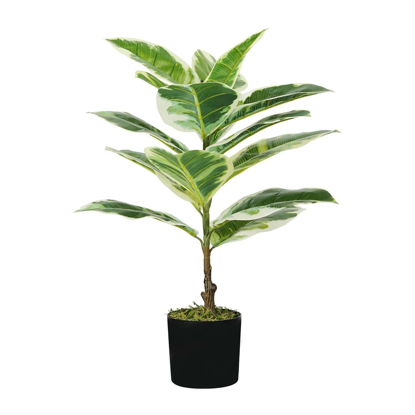 Pianta artificiale di ficus elastica 65 cm con 15 foglie in vaso