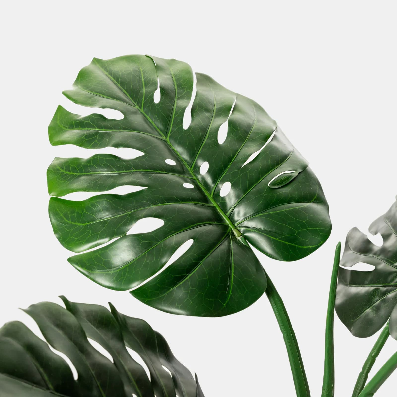 Pianta artificiale di monstera deliziosa 170h cm con vaso