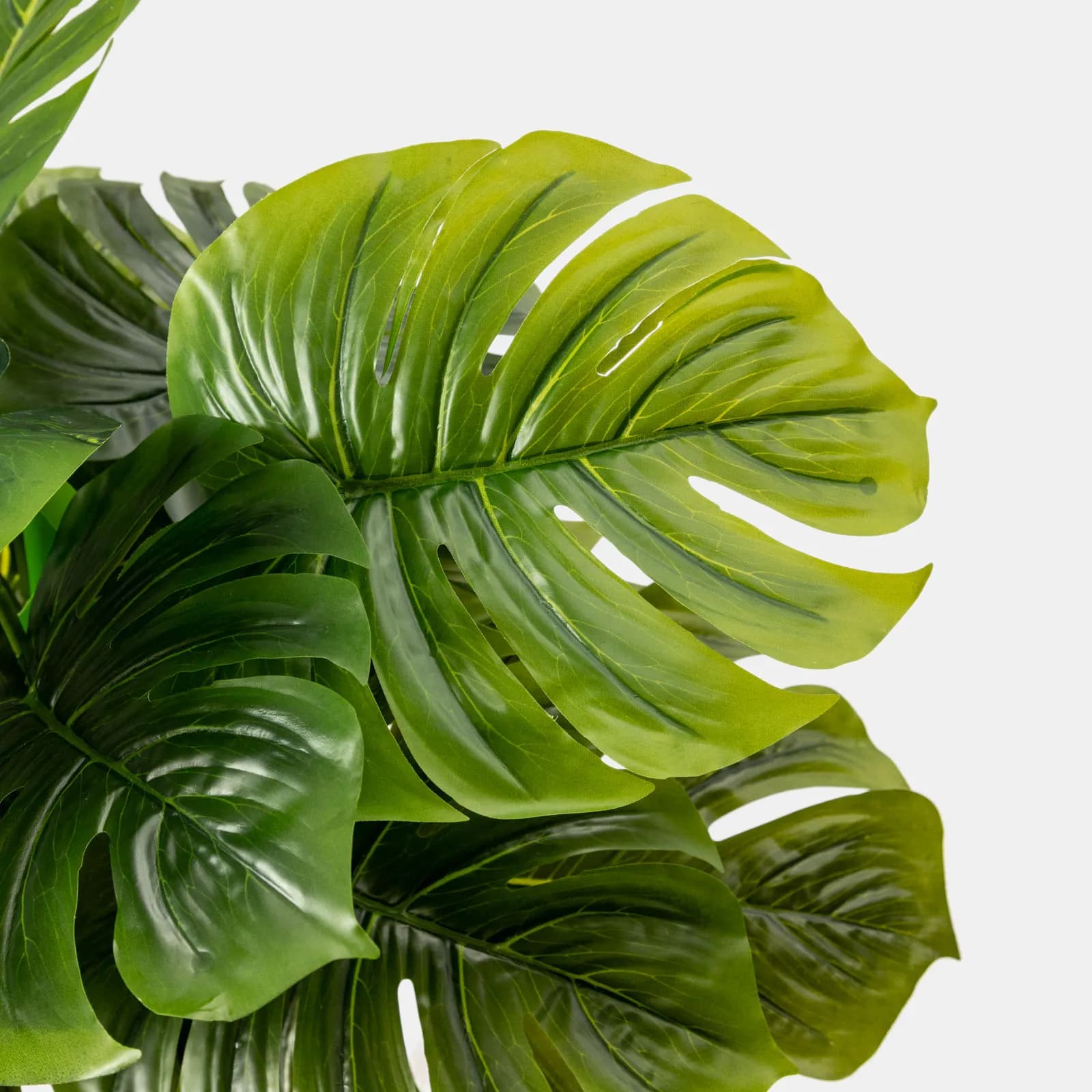 Pianta artificiale di monstera deliziosa 80h cm con vaso