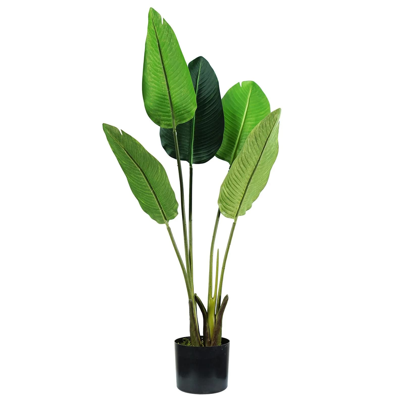 Pianta artificiale di sterilizia 100 cm con 5 foglie in vaso