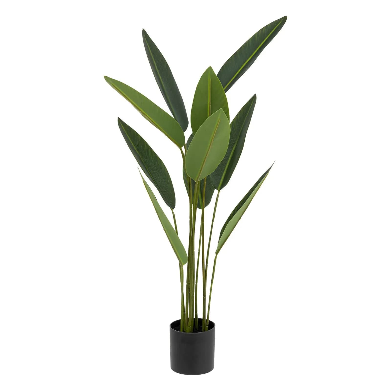 Pianta artificiale di strelizia 100h cm in vaso nero
