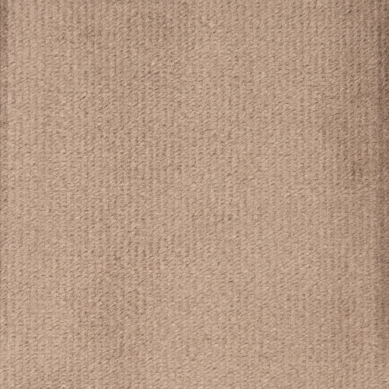 Poltrona in velluto trapuntato cappuccino con gambe in metallo nero - Sulis