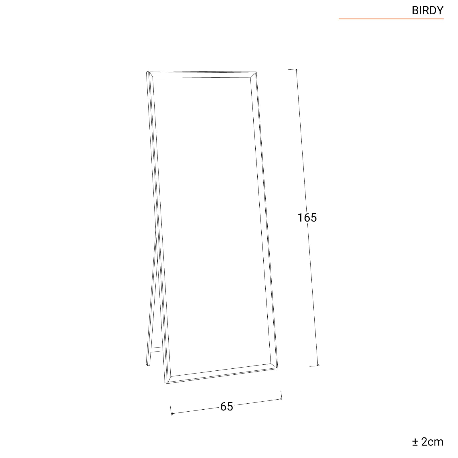 Specchio da terra 65x165h cm con cornice nero - Birdy